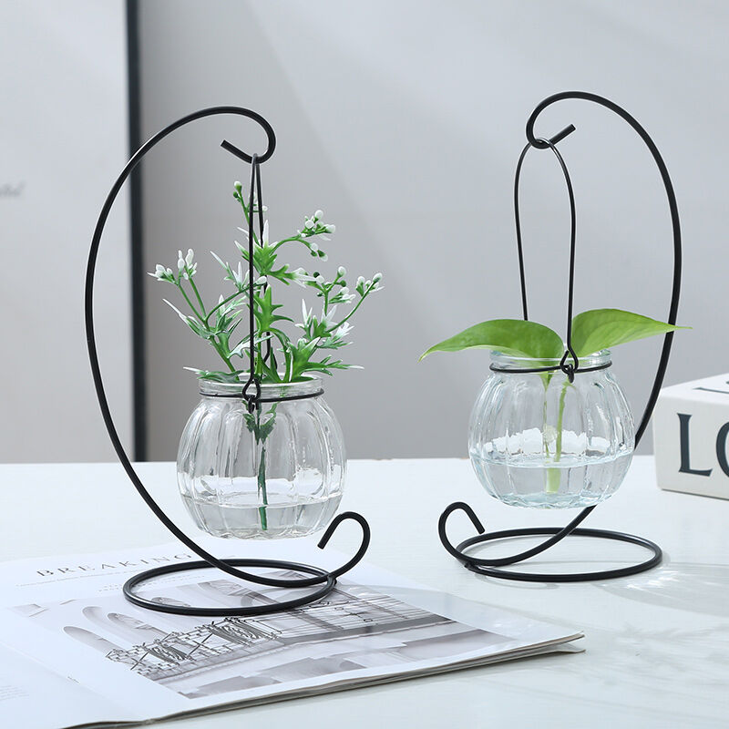 Minimalist Modern Glass Vase for Office Home Decor with Iron Frame Creative Desktop Plant Pot with Greenery